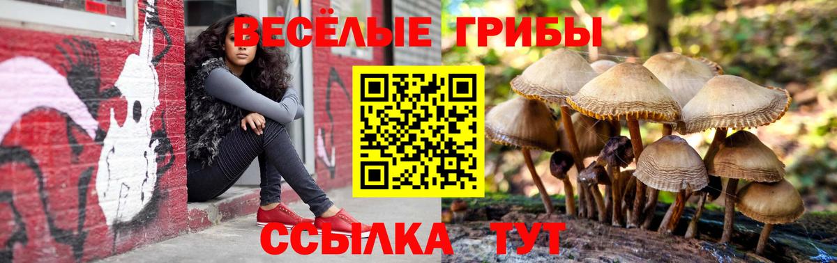Первоуральск  наркошоп  Вход с VPN  Псилоцибиновые грибы MAGIC MUSHROOMS 